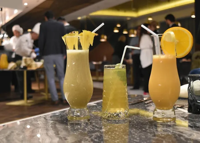 萨拉热窝瑞士酒店 酒店 5*